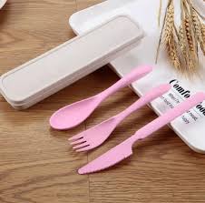 3-in-1 Wheat Straw Cutlery Set with Case